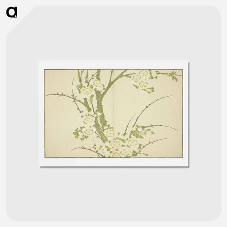 アートポストカード-Hokusai's Flowers - 葛飾 北斎 Postcard.