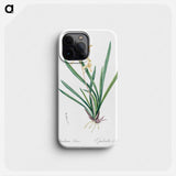 Epidendrum sinense illustration - ピエール ジョゼフ ルドゥーテ Phone Case.