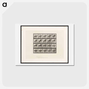 アートポストカード-Jumping Horse
 - エドワード マイブリッジ Postcard.