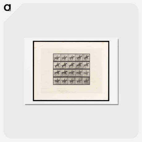 アートポストカード-Jumping Horse
 - エドワード マイブリッジ Postcard.