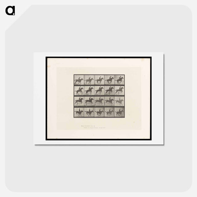 アートポストカード-Jumping Horse
 - エドワード マイブリッジ Postcard.