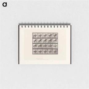 アートメモ帳-Jumping Horse
 - エドワード マイブリッジ Memo.