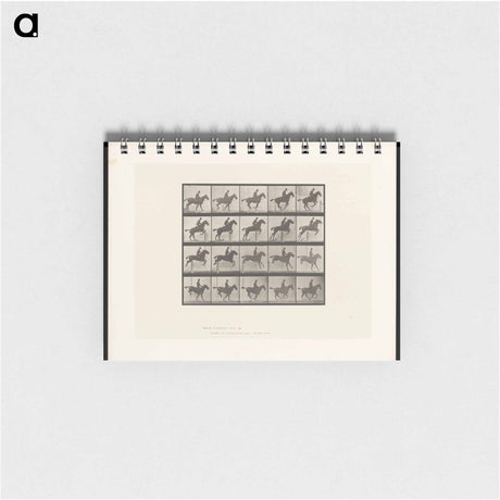 アートメモ帳-Jumping Horse
 - エドワード マイブリッジ Memo.