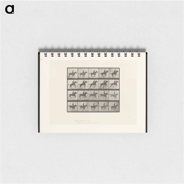 アートメモ帳-Jumping Horse
 - エドワード マイブリッジ Memo.