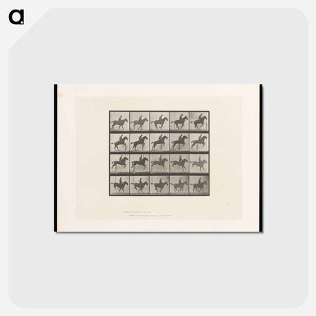 アートポストカード-Jumping Horse
 - エドワード マイブリッジ Postcard.