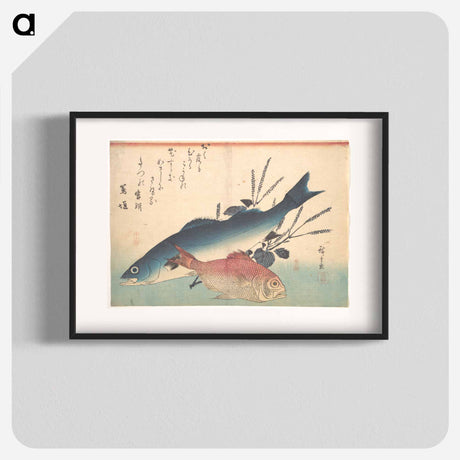 アートポスター-Suzuki and Kinmedai Fish from the series Uozukushi (Every Variety of Fish)
 - 歌川 広重 Poster.
