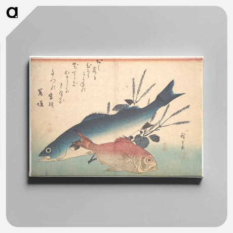 アートパネル-Suzuki and Kinmedai Fish from the series Uozukushi (Every Variety of Fish)
 - 歌川 広重 Canvas.