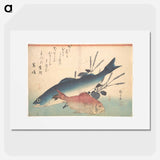 アートポスター-Suzuki and Kinmedai Fish from the series Uozukushi (Every Variety of Fish)
 - 歌川 広重 Poster.