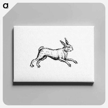 アートパネル-Hare From The Works Of John Collier-Tim-Bobbin-In Prose And Verse
 - 大英図書館 Canvas.
