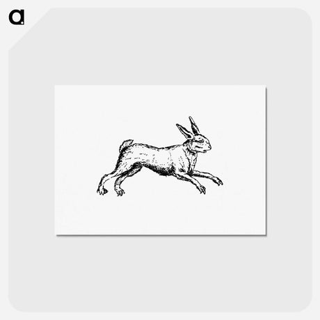 アートポストカード-Hare From The Works Of John Collier-Tim-Bobbin-In Prose And Verse
 - 大英図書館 Postcard.