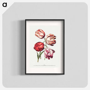 アートポスター-Natural Flowers in Outlines
 - クリーブランド美術館 Poster.