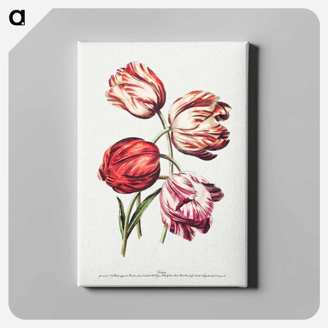 アートパネル-Natural Flowers in Outlines
 - クリーブランド美術館 Canvas.