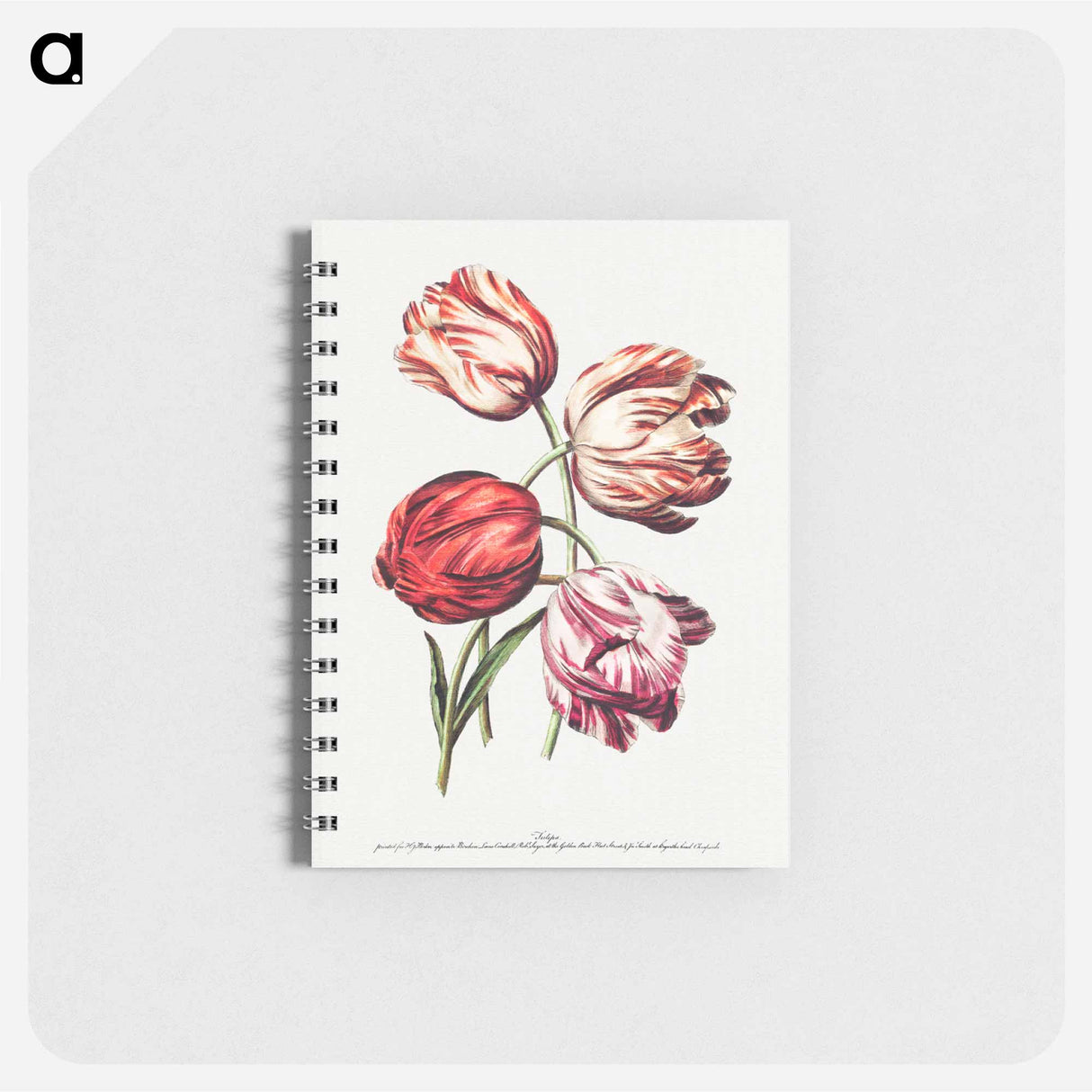 アートメモ帳-Natural Flowers in Outlines
 - クリーブランド美術館 Memo.
