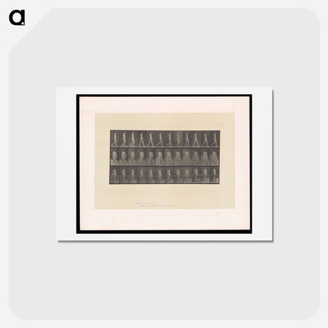 アートポストカード-Naked Woman Walking
 - エドワード マイブリッジ Postcard.