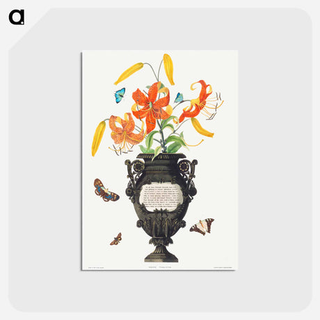 アートポストカード-Tiger Lily
 - クリーブランド美術館 Postcard.