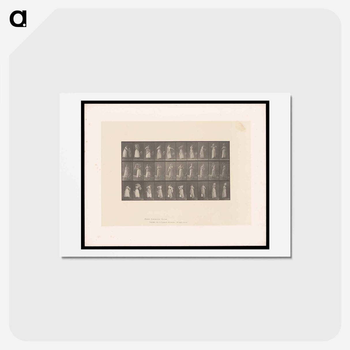 アートポストカード-Woman Dressing
 - エドワード マイブリッジ Postcard.