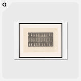 アートポストカード-Woman Dressing
 - エドワード マイブリッジ Postcard.