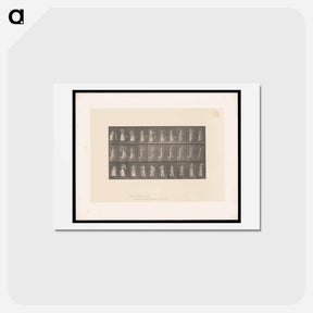 アートポストカード-Woman Dressing
 - エドワード マイブリッジ Postcard.