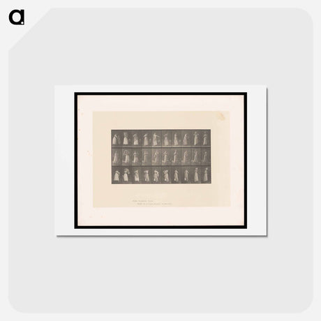 アートポストカード-Woman Dressing
 - エドワード マイブリッジ Postcard.
