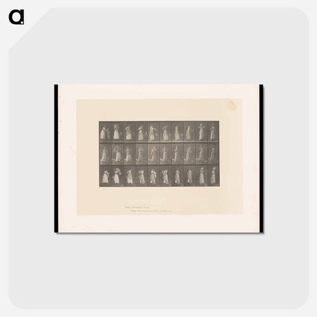 アートポストカード-Woman Dressing
 - エドワード マイブリッジ Postcard.