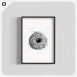 アートポスター-Nest and Eggs from Travel And Research In Algeria - 大英図書館 Poster.