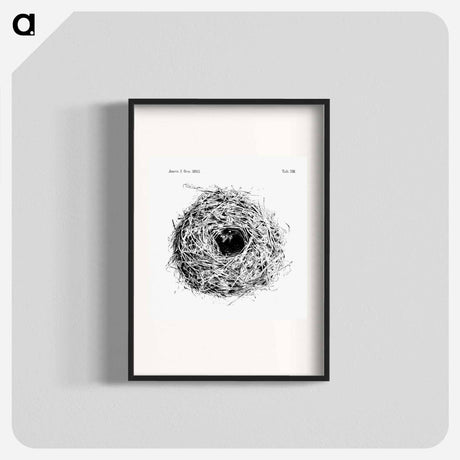 アートポスター-Nest and Eggs from Travel And Research In Algeria - 大英図書館 Poster.