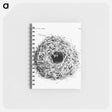 アートメモ帳-Nest and Eggs from Travel And Research In Algeria - 大英図書館 Memo.