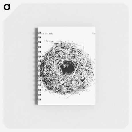 アートメモ帳-Nest and Eggs from Travel And Research In Algeria - 大英図書館 Memo.