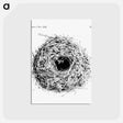 アートポストカード-Nest and Eggs from Travel And Research In Algeria - 大英図書館 Postcard.