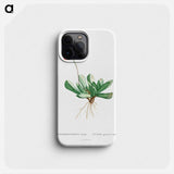 Mesembryanthemum Caninum - Pierre Joseph Redouté Phone Case.