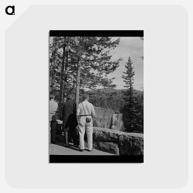 アートポストカード-Salt River Falls
 - ラッセル リー Postcard.
