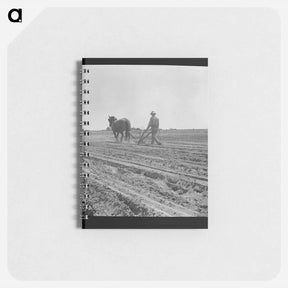 アートメモ帳-Between Laton and Fowler, central San Joaquin Valley, California. One man-one horse methods are rare in California - ドロテア ラング Memo.