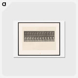 アートポストカード-Scything
 - エドワード マイブリッジ Postcard.