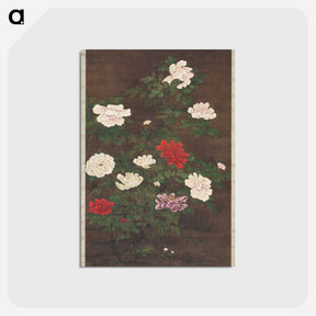 アートポストカード-Peonies
 - クリーブランド美術館 Postcard.