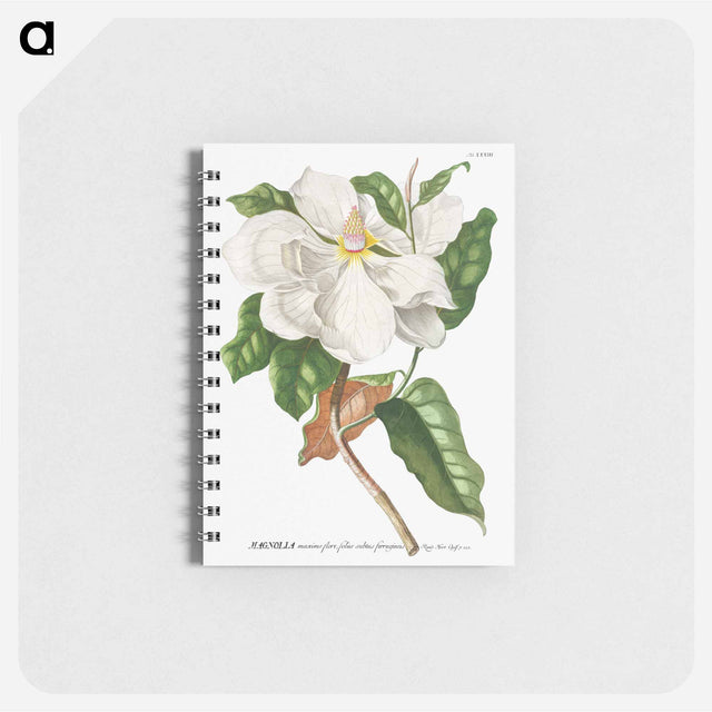 アートメモ帳-Magnolia
 - クリーブランド美術館 Memo.