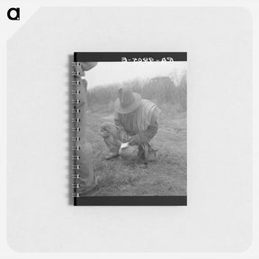 アートメモ帳-Tally - ドロテア ラング Memo.