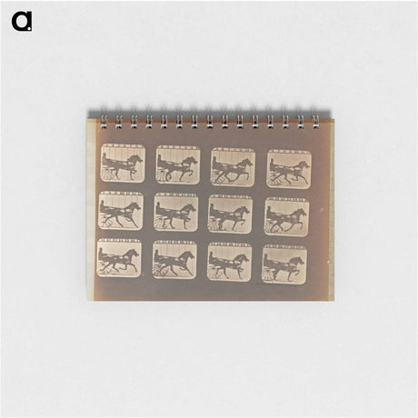 アートメモ帳-Trotting
 - エドワード マイブリッジ Memo.