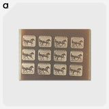 アートポストカード-Trotting
 - エドワード マイブリッジ Postcard.