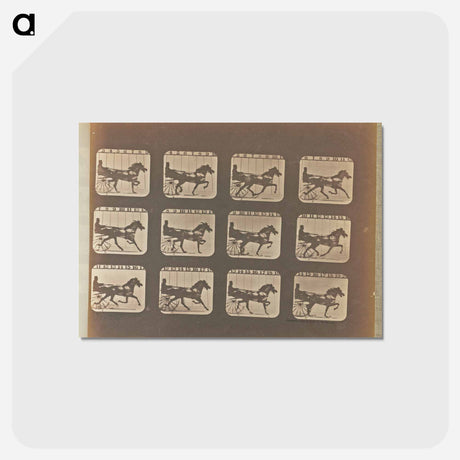 アートポストカード-Trotting
 - エドワード マイブリッジ Postcard.