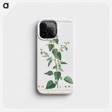 Ehretia Internodis - ピエール ジョゼフ ルドゥーテ Phone Case.