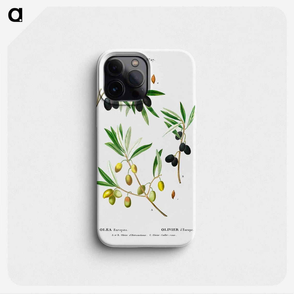 Olive (Olea Europæa) - Pierre Joseph Redouté Phone Case.