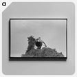 アートパネル-Head of Horse
 - ラッセル リー Canvas.