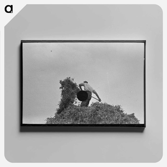 アートパネル-Head of Horse
 - ラッセル リー Canvas.