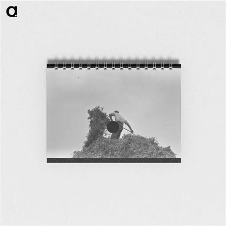 アートメモ帳-Head of Horse
 - ラッセル リー Memo.