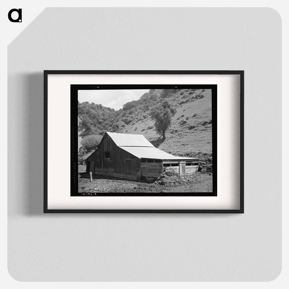 Barn in a valley back of Mission San Jose - Dorothea Lange Poster.