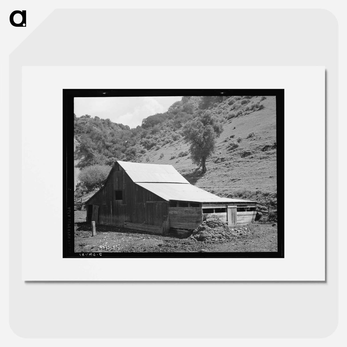 Barn in a valley back of Mission San Jose - ドロテア ラング Poster.