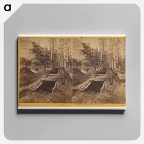 アートパネル-Bath House in the Yosemite
 - エドワード マイブリッジ Canvas.