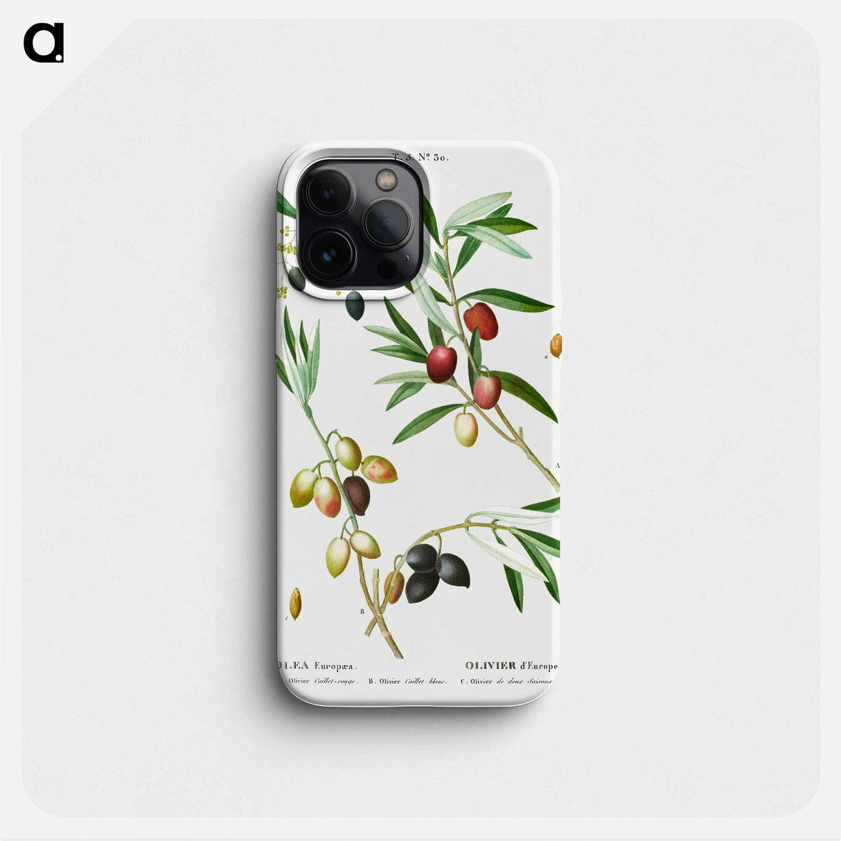 Olive (Olea Europæa) - Pierre Joseph Redouté Phone Case.