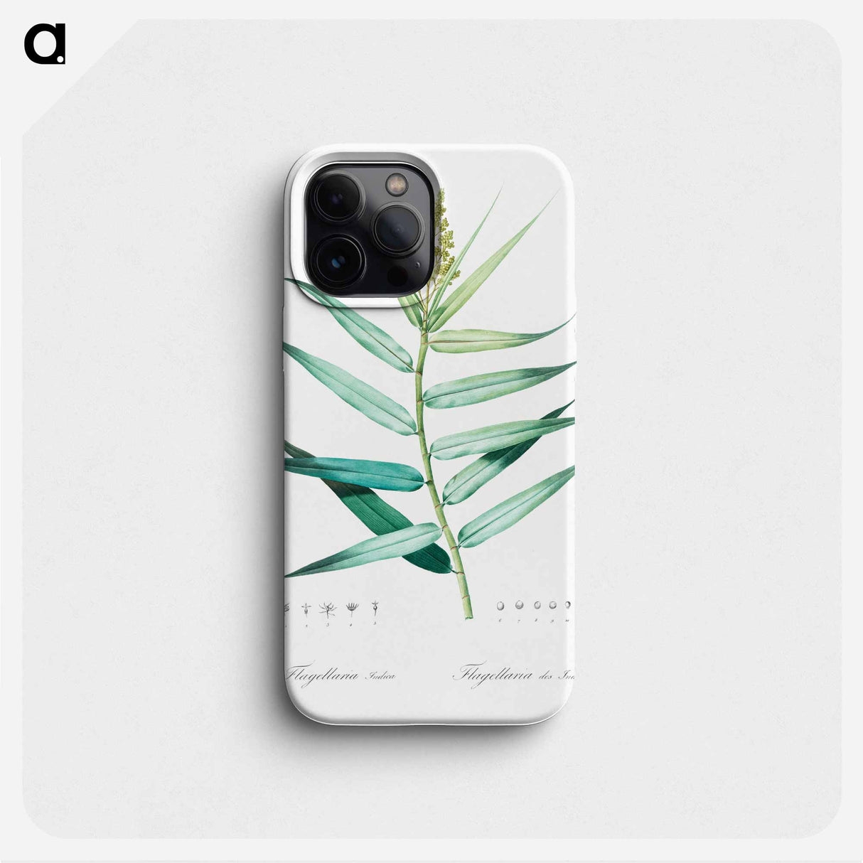 Bush cane illustration - Pierre Joseph Redouté Phone Case.