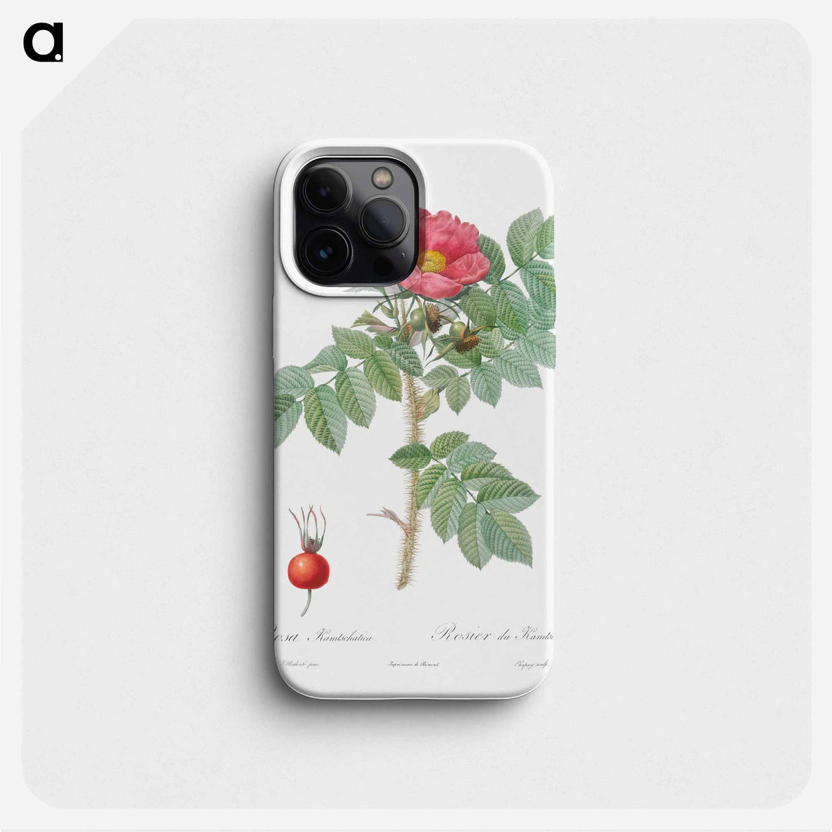 Kamtschatka Rose - ピエール ジョゼフ ルドゥーテ Phone Case.